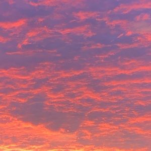 Meet your Posher, Tihana